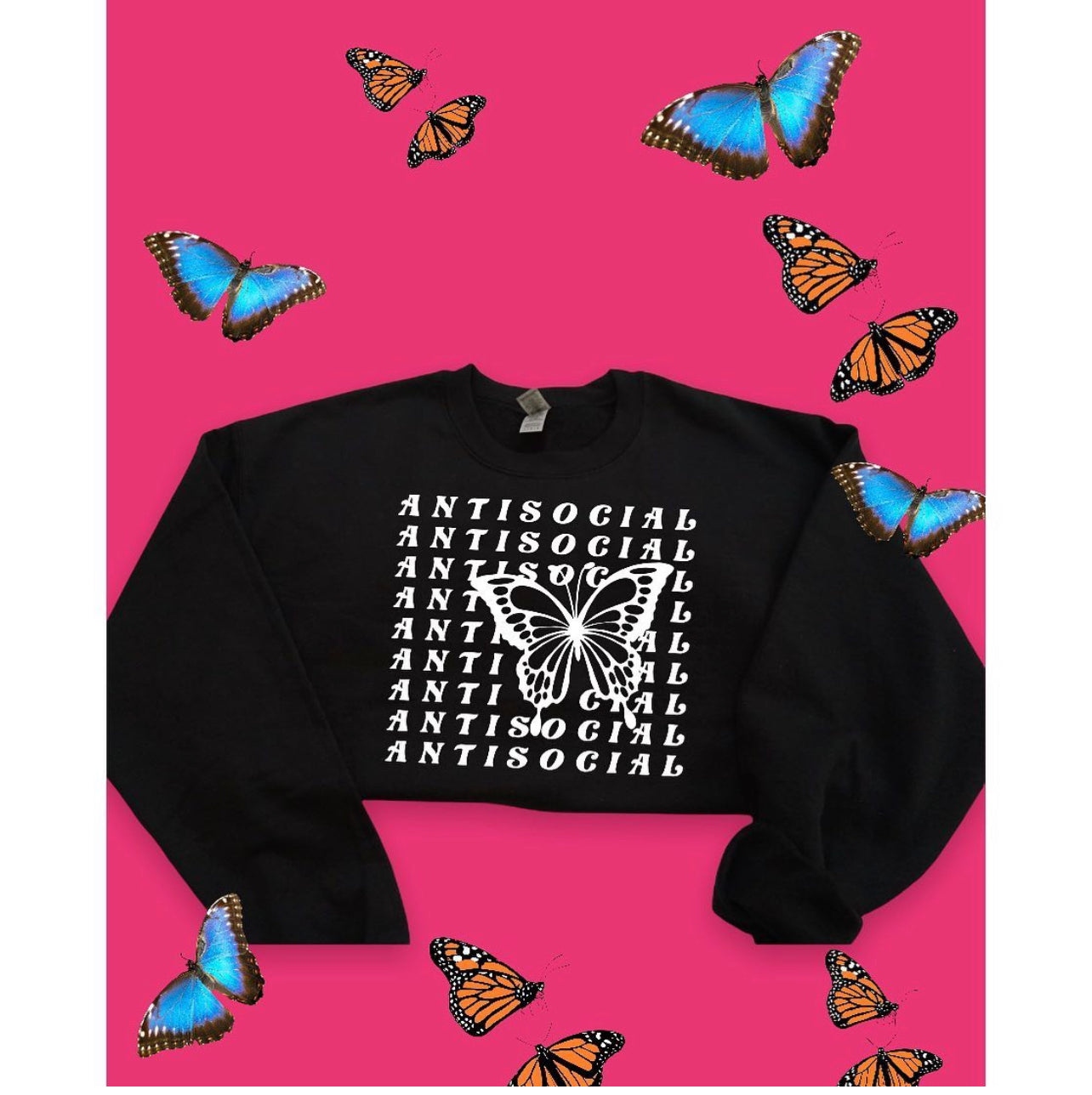 Antisocial butterfly